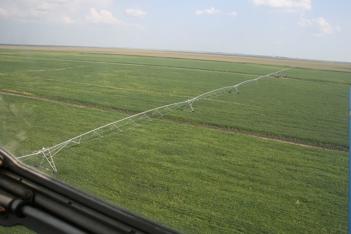 Pilot area